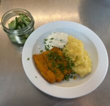 Knusprige Fischstäbchen mit cremigem Kartoffelpüree, frischer Remoulade und einem Beilagensalat aus Gurken – serviert auf weißem Porzellanteller.